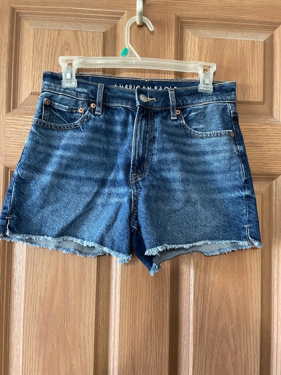 American Eagle Outfitters Pants - American Eagle STRIGID Shorts Size 2